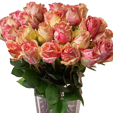 Doppel flowers  -  24 Peach Roses Flower Bouquet/Arrangement