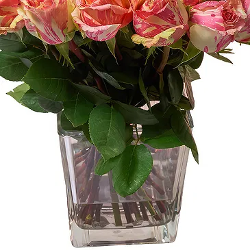 Doppel flowers  -  24 Peach Roses Flower Bouquet/Arrangement