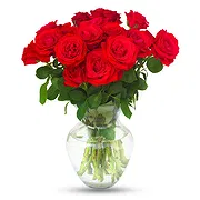 Central Forest Reserve online Florist - 15 Red Roses Bouquet