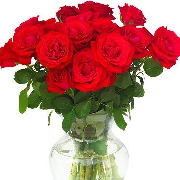 Oman flowers  -  15 Red Roses Flower Bouquet/Arrangement