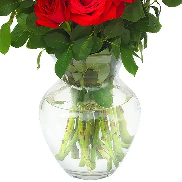 Oman flowers  -  15 Red Roses Flower Bouquet/Arrangement