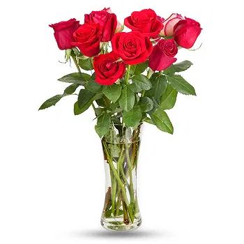 United Kingdom flowers  -  9 Red Roses Flower Delivery