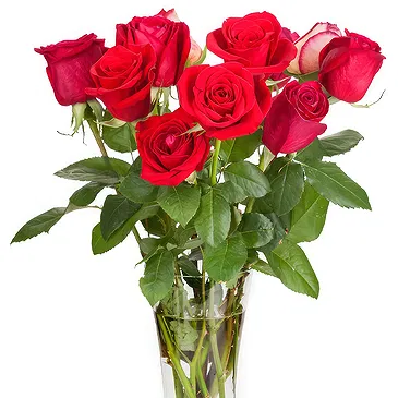 Oman flowers  -  9 Red Roses Flower Bouquet/Arrangement
