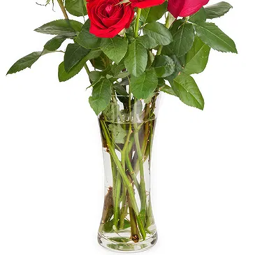 Oman flowers  -  9 Red Roses Flower Bouquet/Arrangement