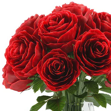 Oman flowers  -  9 Red Roses in vase Flower Bouquet/Arrangement