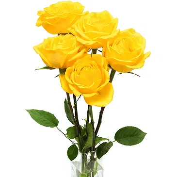 Oman flowers  -  5 Yellow Roses Flower Bouquet/Arrangement
