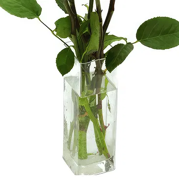 Oman flowers  -  5 Yellow Roses Flower Bouquet/Arrangement