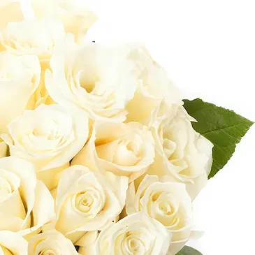 Oman flowers  -  Bouquet of 24 white roses Flower Bouquet/Arrangement