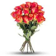 East Timor online Florist - Bouquet of 15 orange roses Bouquet