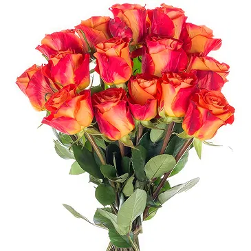 Oman flowers  -  Bouquet of 15 orange roses Flower Bouquet/Arrangement