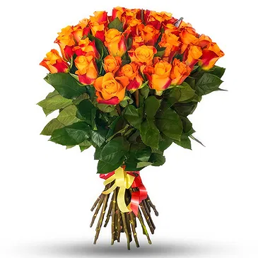 Ipsach Blumen Florist- Strauß aus 24 orangen Rosen Bouquet/Blumenschmuck