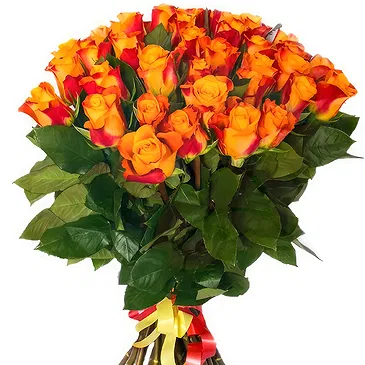 Ipsach Blumen Florist- Strauß aus 24 orangen Rosen Bouquet/Blumenschmuck
