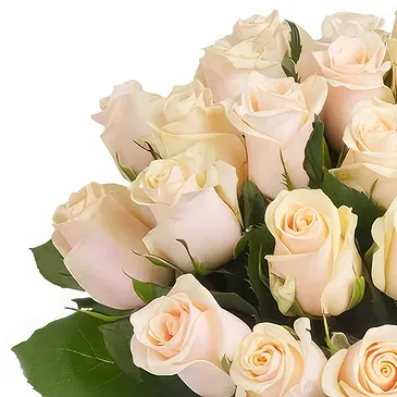 Guixi Shi Blumen Florist- Blumenstrauß aus cremefarbenen Rosen Bouquet/Blumenschmuck