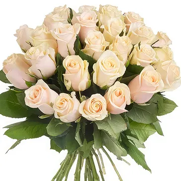 Guixi Shi Blumen Florist- Blumenstrauß aus cremefarbenen Rosen Bouquet/Blumenschmuck