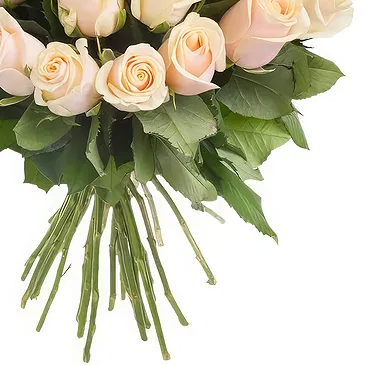 Guixi Shi Blumen Florist- Blumenstrauß aus cremefarbenen Rosen Bouquet/Blumenschmuck