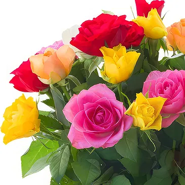 Oman flowers  -  Multi-coloured roses bouquet Flower Bouquet/Arrangement