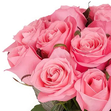 Oman flowers  -  Bouquet of pink roses Flower Bouquet/Arrangement