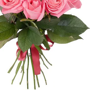 Oman flowers  -  Bouquet of pink roses Flower Bouquet/Arrangement