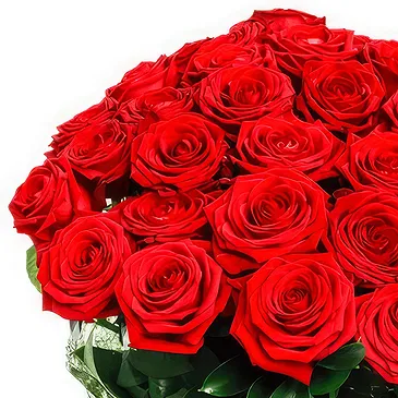 Oman flowers  -  Bunch of red roses Flower Bouquet/Arrangement