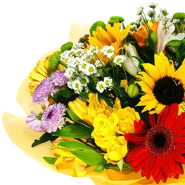 Keetmanshoop (andre) blomster- Bukett med solsikker og rød og oransje flyt Blomsterarrangementer bukett