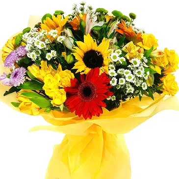 Keetmanshoop (andre) blomster- Bukett med solsikker og rød og oransje flyt Blomsterarrangementer bukett