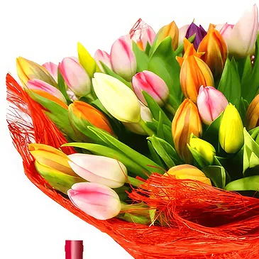 Real Springs flowers  -  Bouquet of mix tulips with red wine and roman Flower Bouquet/Arrangement