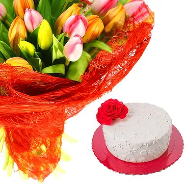 Real Springs flowers  -  Bouquet of mix tulips with red wine and roman Flower Bouquet/Arrangement