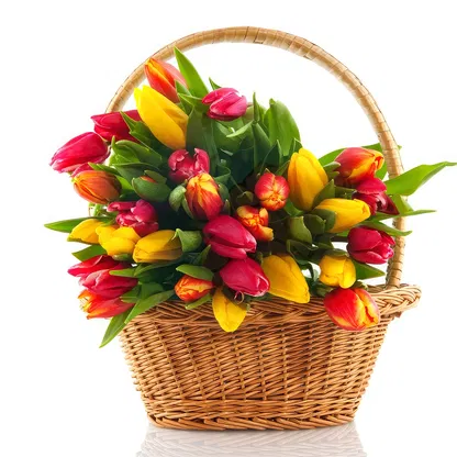 Paraguay flowers  -   Flower Bouquet/Arrangement