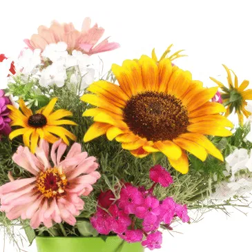 flores Borg i Grimsnesi floristeria -  Ramo de flores de colores con caja de bombone Ramo de flores/arreglo floral