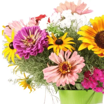 flores Borg i Grimsnesi floristeria -  Ramo de flores de colores con caja de bombone Ramo de flores/arreglo floral
