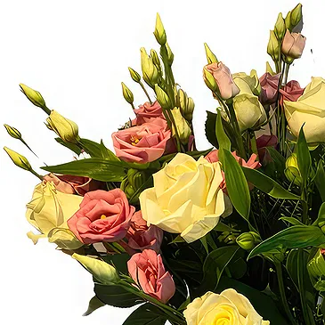Ghent kukat- Tyylikkäät ruusut ja Lisianthus -kokoonpano Kukka kukkakimppu