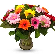 Turnhout online bloemist - Vrolijk Germini Bloemen Arrangement Boeket