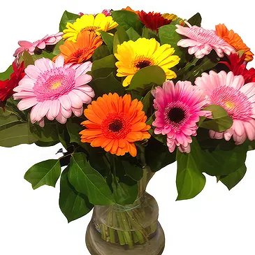 Ghent flowers  -  Cheerful Germini Flowers Arrangement Flower Bouquet/Arrangement