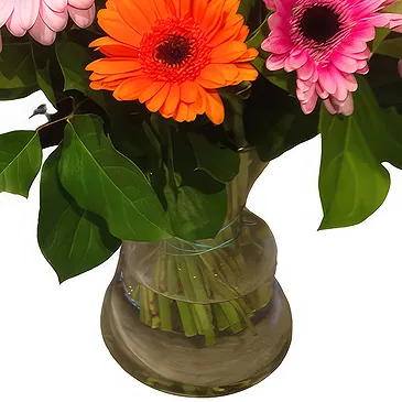 Ghent flowers  -  Cheerful Germini Flowers Arrangement Flower Bouquet/Arrangement