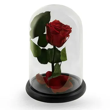 Palia Ampelia flowers  -  Delicate Red Flower Bouquet/Arrangement