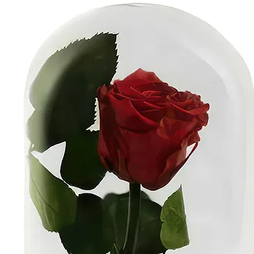 Palia Ampelia flowers  -  Delicate Red Flower Bouquet/Arrangement