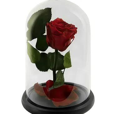 Palia Ampelia flowers  -  Delicate Red Flower Bouquet/Arrangement