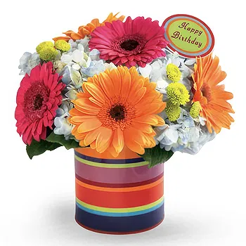 Antias flowers  -  Best Choice Flower Delivery