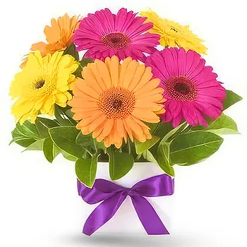 Serbia flowers  -  Colorful Spring Flower Delivery