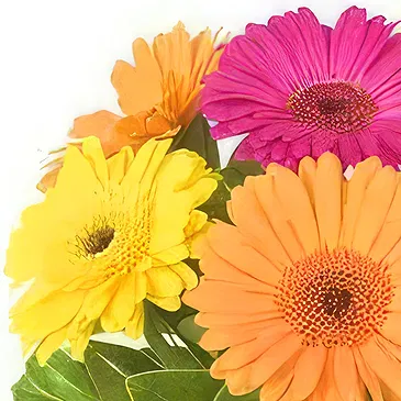 Prokuplje flowers  -  Colorful Spring Flower Bouquet/Arrangement
