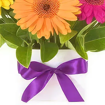 Prokuplje flowers  -  Colorful Spring Flower Bouquet/Arrangement