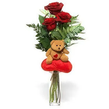 Serbia flowers  -  Red Roses with Teddy Flower Delivery