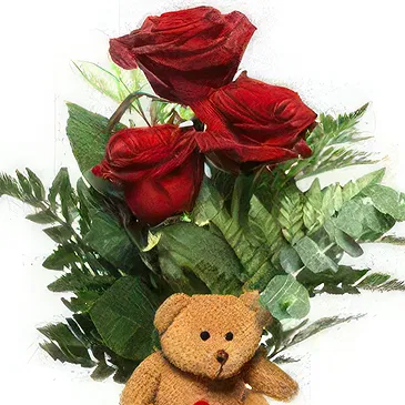 Prokuplje flowers  -  Red Roses with Teddy Flower Bouquet/Arrangement