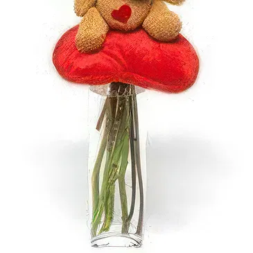 Prokuplje flowers  -  Red Roses with Teddy Flower Bouquet/Arrangement