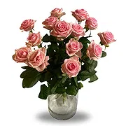 Zande Online Florist - Bara rosa Bukett