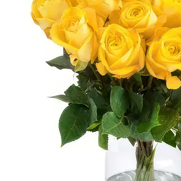 Amsterdam-Zuidoost flowers  -  Yellow roses (40 cm) Flower Bouquet/Arrangement