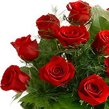 Qingdao flowers  -  Elegant Red Rose Arrangement Flower Bouquet/Arrangement