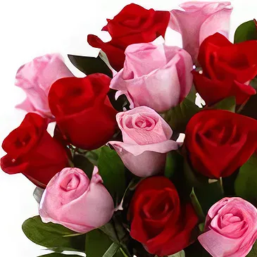 Qingdao flowers  -  Elegant Red and Pink Roses Arrangement Flower Bouquet/Arrangement