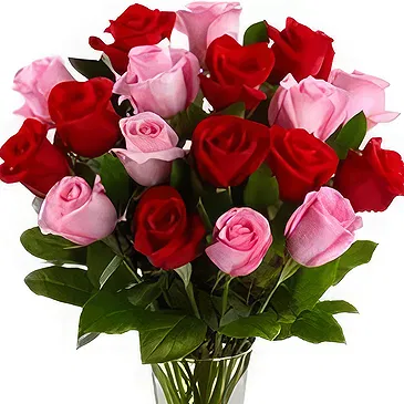 Qingdao flowers  -  Elegant Red and Pink Roses Arrangement Flower Bouquet/Arrangement
