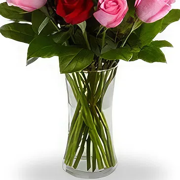 Qingdao flowers  -  Elegant Red and Pink Roses Arrangement Flower Bouquet/Arrangement